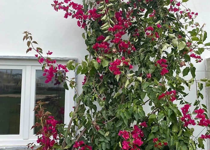 W.h.house Rum i privatbostad Atouguia Da Baleia