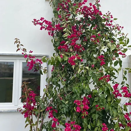 W.h.house Quarto em Acomodações Particulares Atouguia Da Baleia